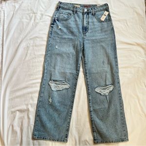 Anthropologie Pilcro Distressed Boyfriend Jeans Size 26 Petite